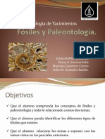 Fósiles y Paleontología Diapositivas
