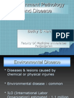 Minilectureenvironment Pathology and Disease