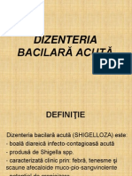 Dizenteria Bacilara