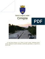 Cimișlia.docx