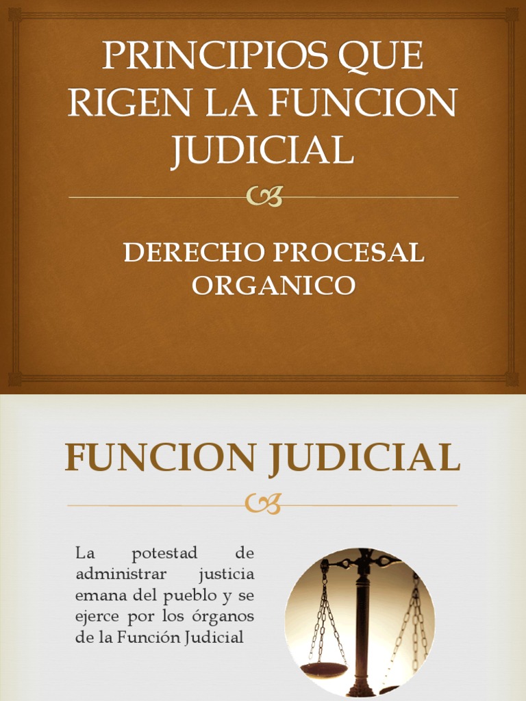 Principios Que Rigen La Funcion Judicial | Juez | Jurisdicción