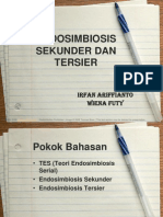 Endosimbiosis Sekunder Dan Tersier