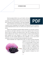 Licenta Continut PDF