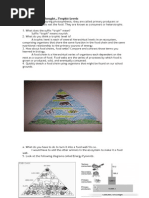 K and r Reproductive Strategies Explained | PDF | Reproduction | Organisms