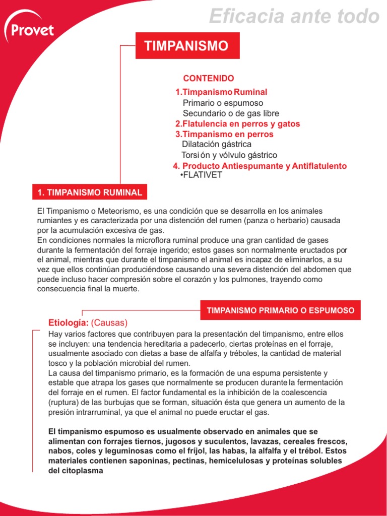 Articulo Timpanismo PDF