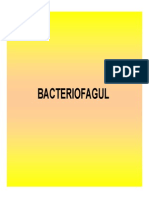 CURS 6 Bacteriofagul.pdf