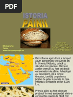 Istoria Painii