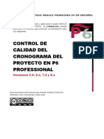 Control de Calidad Del Cronograma Delproyecto en p6 Professional
