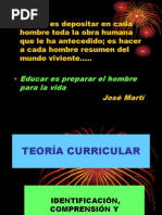 Puce- Teoria Curricular 1