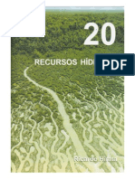 Decifrando A Terra Capitulo - 20 PDF