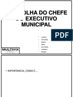A Escolha Do Chefe Do Executivo Municipal