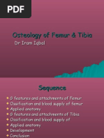 Download Osteology Lower LimbBy Dr Iram by immmi SN18339803 doc pdf