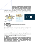 LP Injury Spinal