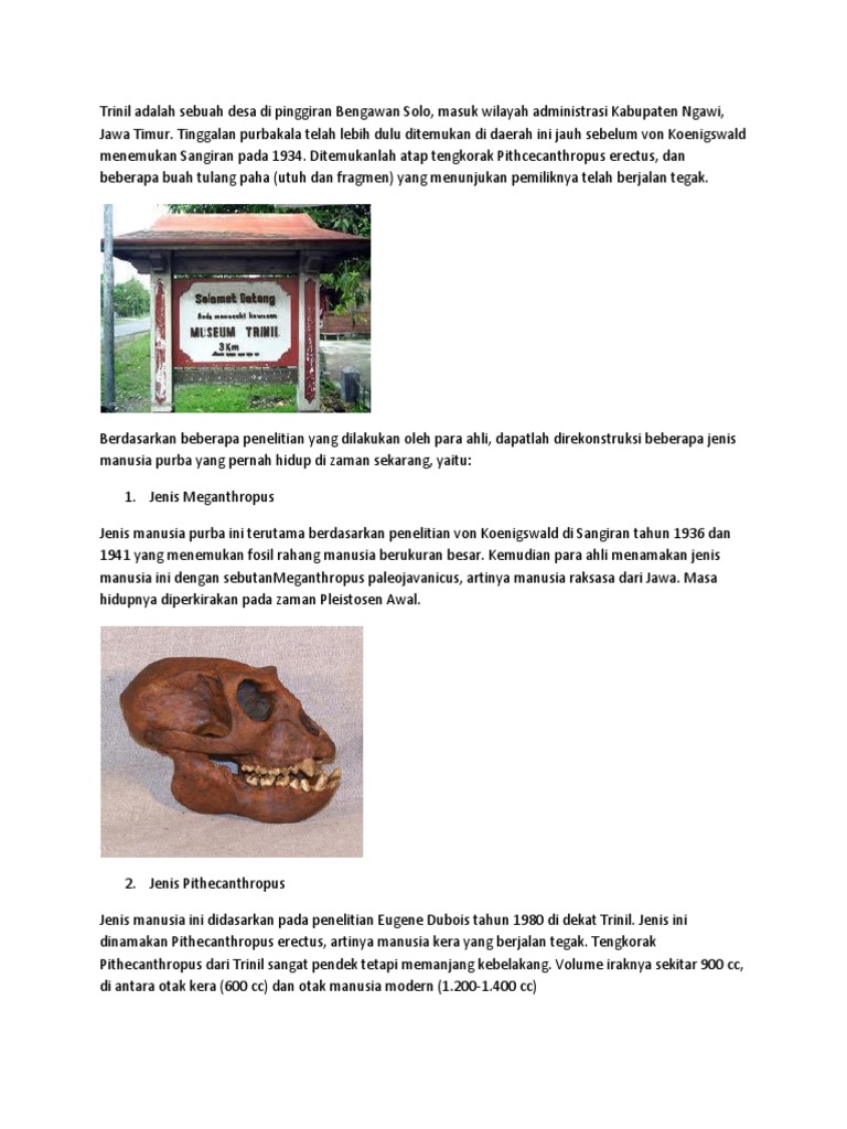 Manusia Kera Adalah Sebutan Untuk Manusia Purba Jenis Coba Sebutkan