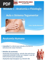 Módulo 2 - aula1 -sistema tegumentar.pptx