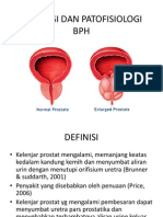 patogenesis badan hiperplasi prostat.ppt