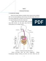 Tinjauan Pustaka Akalasia