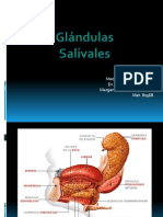 Glandulas Salivales