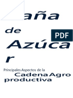 agroeconomia_canaazucar