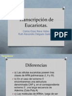 Transcripción eucariotas ARN