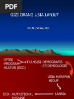 Download GIZI USIA LANJUTppt by Carla Manis SN183481229 doc pdf