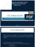 13-cicatrizacion-120820204525-phpapp01