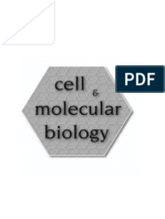 2011 Lab 1 Enzymology PDF