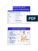 101 Lab 5 Tutor template 2011.pdf