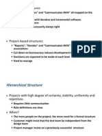 Project Management Organization Structure 