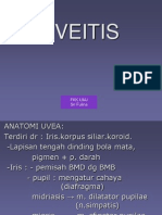 Uveitis.ppt