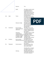 Testing Cranial Nerves.docx