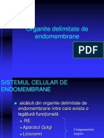 LP 7 - Org delimitate.ppt