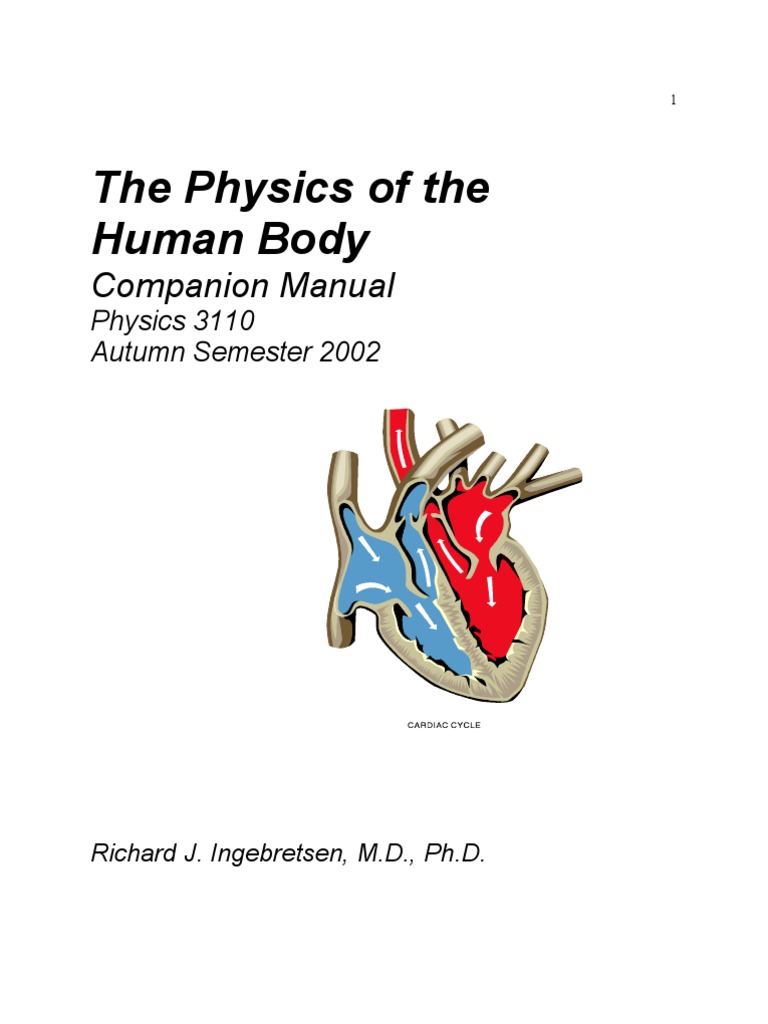 Physics of Human Body Mechanics | PDF | Exhalation | Knee
