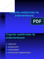LP 8 - Org nedelimitate.ppt 