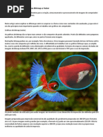 As diferenças entre arquivos Bitmap e Vetor