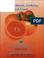 KinnoProductionMarket&Export.pdf