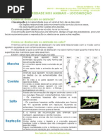 1.2 - Diversidade dos animais - Locomoção -  Ficha Informativa.pdf