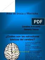 Área de Broca y Wernicke