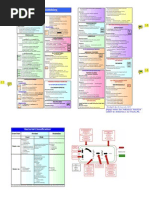 Antibiotic Coverage Chart 2024 | PDF