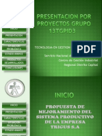 Presentacion Proyecto Grupo 13tgpid3 Trigus S.A