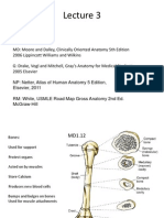 Bones and sceletal anatomy, muscle actions.pdf