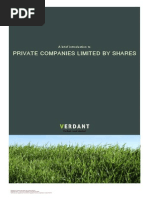 Brief Introduction To Limited Companies PDF