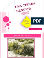 Tacna Flora y Fauna PDF