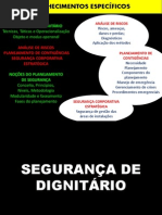 Segurança Dignatários.pdf
