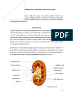 Insuficiencia renal crónica y aguda