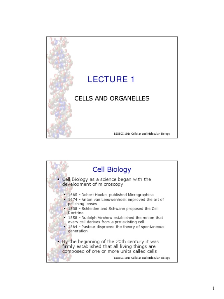CMB Lect 1 2011 Colour 2 Slides PDF | PDF | Cytoskeleton | Cell (Biology)