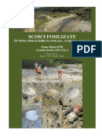 Policiori Fosile PDF