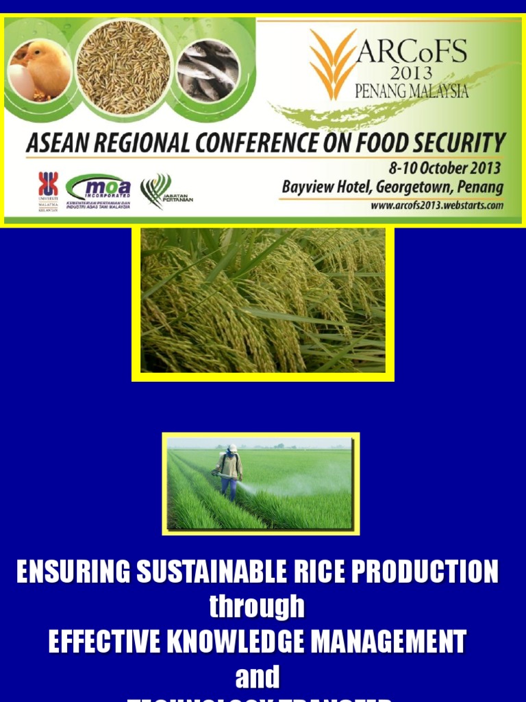 Photo essay about planting rice picture