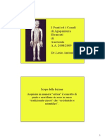 Ago Losio Repere Punti PDF