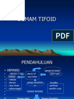 Demam Tifoid